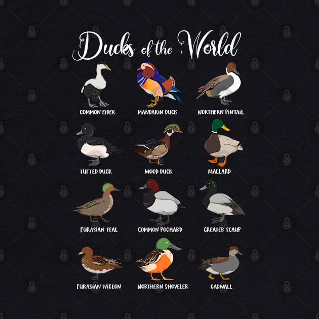 Different types of ducks - Ducks of the world by Modern Medieval Design